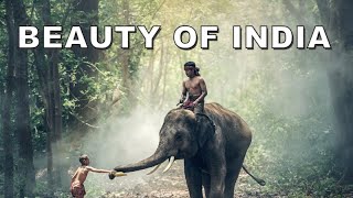 Exploring the Enchanting Beauty of India [8K Views] | Incredible Indian Landscapes and Culture