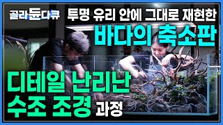 '이거 다 사람 손으로 만든 거였음?' 디테일 장인들이 투명 수조에 바닷 속 생태계를 그대로 옮기는 방법 | 아쿠아스케이프 | 이색직업 | 극한직업 | #골라듄다큐