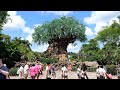 Disney's Animal Kingdom 2024 Summer Afternoon Walkthrough in 4K | Walt Disney World Orlando Florida