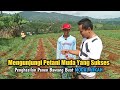 Petani muda Yang Sukses | Panen Bawang Merah | Pertanian Bawang merah | Kisah Sukses Petani muda