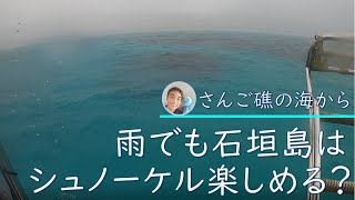 【石垣島】雨の日のシュノーケリングって楽しめるの？2月11日12日のツアーの様子♪