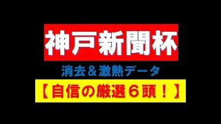 神戸新聞杯2019【消去＆激熱データ】自信の厳選6頭！