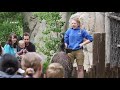 Tracy Aviary Bird Show: Daily this summer!