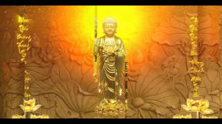 TỤNG KINH VÔ LƯỢNG THỌ GIỌNG NỮ-RẤT HAY