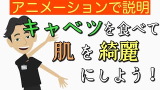 【4分で説明】アトピーの悪化防止や肌荒れ防止、若返り、腸内環境を整えるためにキャベツを食べよう！