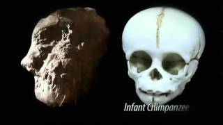 PBS Nova  DOCUMENTARIES  S37E04 Becoming Human Unearthing Our Earliest Ancestors First Steps