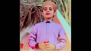 Main hon Hussaini Bachpan Say😍❤| Muharam Special Manqabat2021💖|Son's Of Hafiz Tahir Qadri♥😘|Status💗
