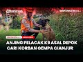 Kiprah Anjing Pelacak K9 Polri Asal Depok Temukan Korban Gempa Cianjur