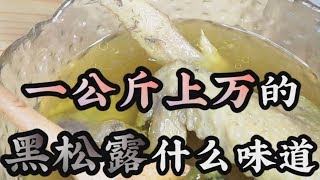 【黑松露】一公斤上万的黑松露什么味道