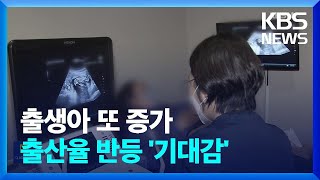 출생아수 8월에도 반등…합계 출산율 역대 최저 벗어날까 / KBS  2024.10.24.