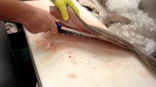 How To Fillet Trumpeter - by Dean Grooby Knifetechnz Ltd