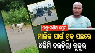 Special Story | True bonhomie | Pet dog chases owner for over 4kms; the video will melt your heart