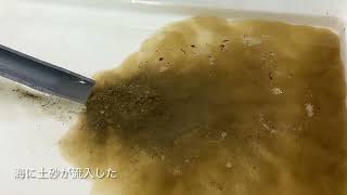 河口付近での土砂の堆積(流れる水のはたらき)