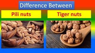 Differences Between Medical And Health Benefits Of Pili nuts and Tiger nuts