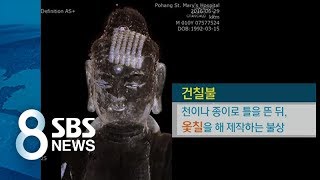 부처님 머릿속 CT로 찍으니 불경이 / SBS