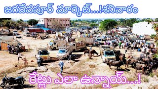 #market..today market full down..! రేట్లు ఎలా ఉన్నాయ్ మిత్రమా!!#cows #buffalo