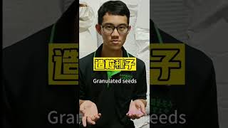 教你如何選購種子 teach you how to choose seeds #買種子 #seeds #種子 #裹粉種子 #草皮 #草皮種子 #草花種子 #網農種苗