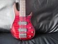 Schecter Raiden Special 5 bass