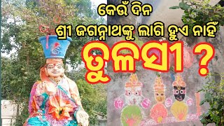 Jai Jagannath। ଶ୍ରୀ ଜଗନ୍ନାଥଙ୍କ ଅତିପ୍ରିୟ ତୁଳସୀ। କେଉଁ ଦିନ ଶ୍ରୀ ଜଗନ୍ନାଥଙ୍କୁ ଲାଗି ହୁଏନାହିଁ ତୁଳସୀ ?