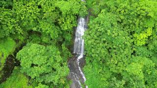 പാലൂർ കോട്ട വെള്ളച്ചാട്ടം Drone shot