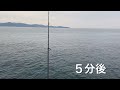 【高知県㊙️釣り情報】夏モードはカマスがベイト！ルアーをカマスに合わせてみた！