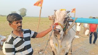 బాలుగారిపల్లె న్యుకేటగిరి విబాగం,9వ జత,