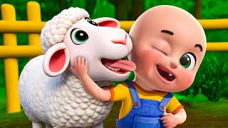 Baa Baa Baby Black Sheep New Compilation | Animals Farm | Nursery Rhymes and Kids Songs | Baby Bobo