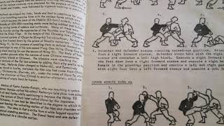 karate book