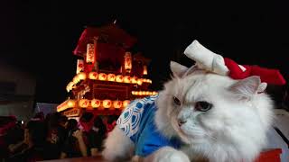 東予秋祭り　2017　（猫）