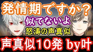 【くろのわ てぇてぇ】「発情期ですか？」叶の声真似10連発！葛葉と叶の面白い切り抜き【葛葉 叶 くろのわ ChroNoiR にじさんじ 切り抜き】