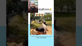 আমি নিশ্চিত এমন মজার ভিডিও আর দেখেননি