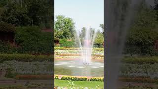 Rashtrapati Bhavan ki sunderta😊🤗#viralvideo #viral#shortsvideo