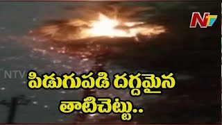 పిడుగు పడి తాటిచెట్టు దగ్ధం..! || Tree Catches Fire Due To Thunder || NTV