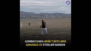 Ərəblərin Qaxdakı ov sərgüzəştləri