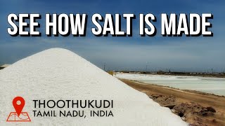 See how Salt is made | Thoothukudi | Salt Harvesting | #Shorts