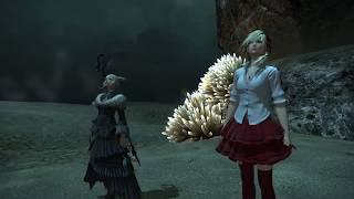 FF14 GRANSEEDS メインクエスト：漆黒のヴィランズ　LV79-7 彼らの都