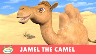 Jamel the Camel - Jamil and Jamila Songs for Kids