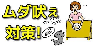 【犬 無駄吠え】無視を使った吠え対策【犬のしつけ＠横浜】byドッグトレーナーエマ