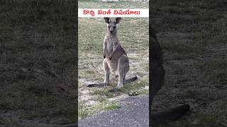 మిమ్మల్ని ఆశ్చర్యపరిచే విషయాలు #facts #shorts