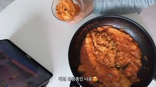 프리랜서 집순이 vlog| 웹소설 작가의 먹고 쓰는 일상, 전업작가가 된 계기, 성공한 나로