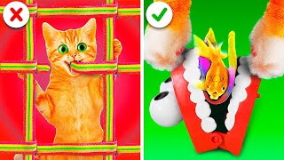 I LET MY CAT DECIDE MY DAY! 🐱🎮 24-Hour Challenge | Meow-some! Reacts