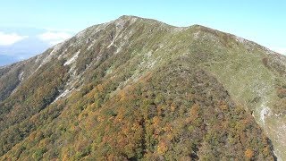 紅葉の見ごろを迎えた伊吹山