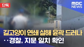 [단독] 길고양이 연쇄 살해 윤곽 드러나‥경찰, 지문 일치 확인 (2022.07.01/뉴스데스크/MBC)