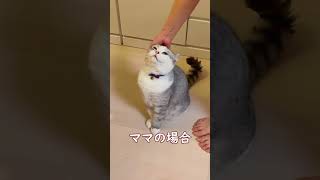 次男の抱っこだけは許せない兄猫