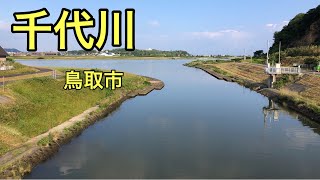 【千代川】釣り場紹介（鳥取市）