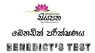 Benedict's Test (බෙනඩික් පරීක්ෂණය)@Siyapatha Academy of Science 2019