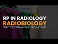 RP in Radiology Radiobiology | Effects of radiation at organic level