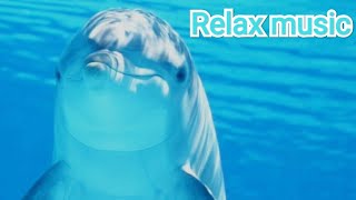 Soothing music for nerves with dolphins. Лечебная музыка для сердца и сосудов. relaxation music