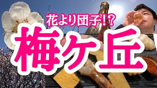 【東京新地図】初春の梅ヶ丘の楽しみ【世田谷区】