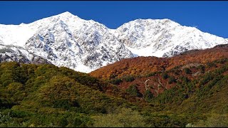 美しき三段紅葉の白馬村・4K